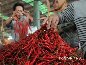 BPS: Petani cabai minta pemerintah terapkan HPP