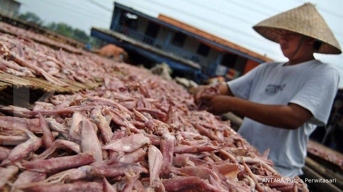 Harga ikan Dharma Samudera naik 10%