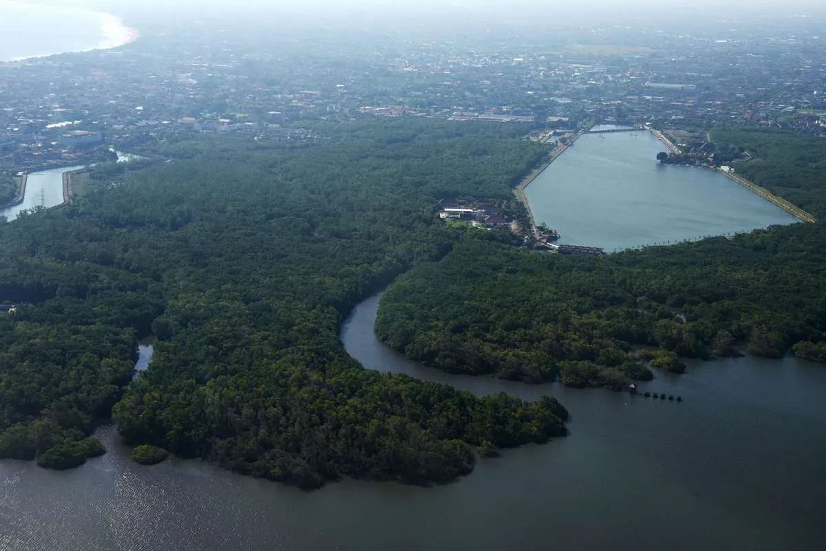 Akademisi: Hutan Terdegradasi Sebaiknya Dimanfaatkan untuk Pangan dan Energi