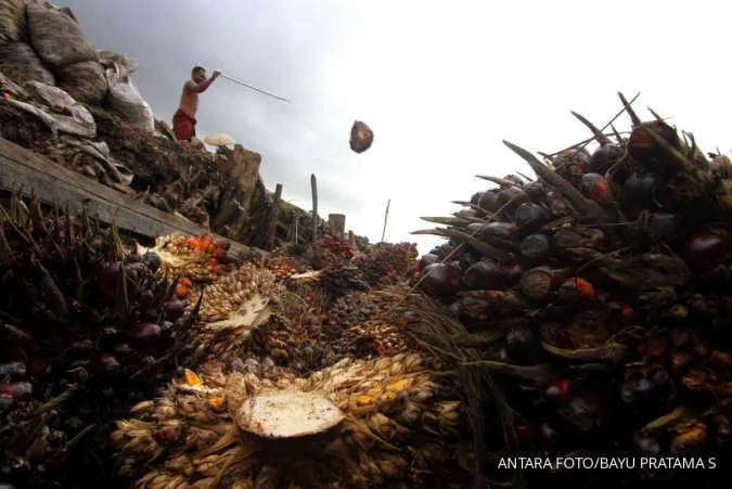 Malaysia's Palm Oil Stocks Hit 3-Month High in May Despite Export Boost