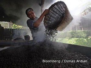 Pasokan kopi arabika Mandailing dan Sidikalang terganggu