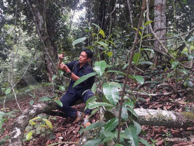 Upaya Muhammad Hanif melestarikan tanaman buah khas Kalimantan (2)