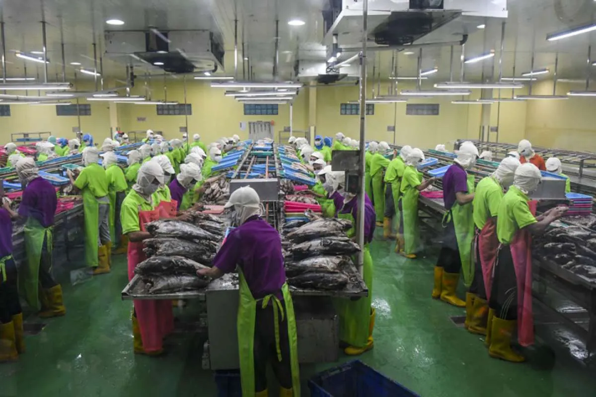 Kinerja pengolahan daging dan ikan berpeluang susut di tengah pandemi virus corona 