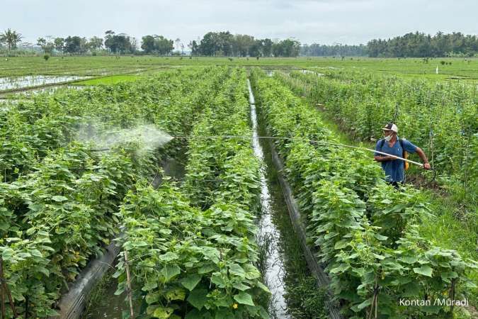 Rezeki Desa BRILian, Warga Megulung Kidul Gampang Dapat Kredit