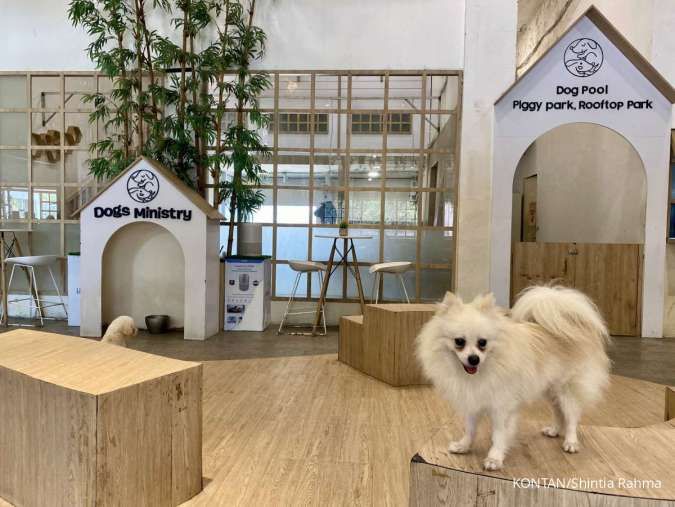 Produk Pet Insurance Kian Dilirik di Tengah Biaya Klik Hewan yang Mahal