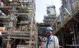 Pedang Bermata Dua untuk Emiten Petrokimia
