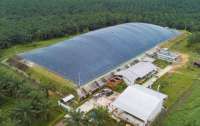 ESG Triputra Agro (TAPG): Mengubah Limbah Sawit Menjadi Energi Terbarukan