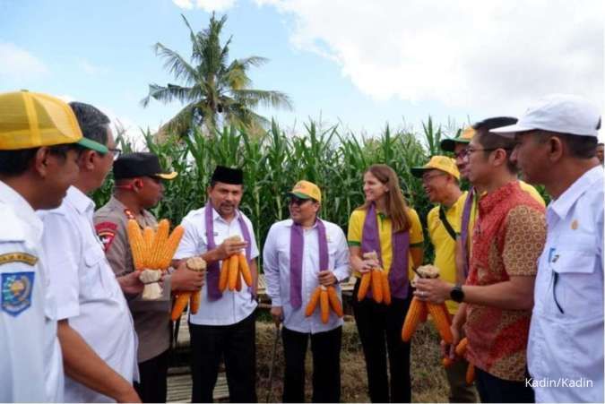 Dukung Peningkatan Produksi Jagung, KADIN Luncurkan Benih Bioteknologi 