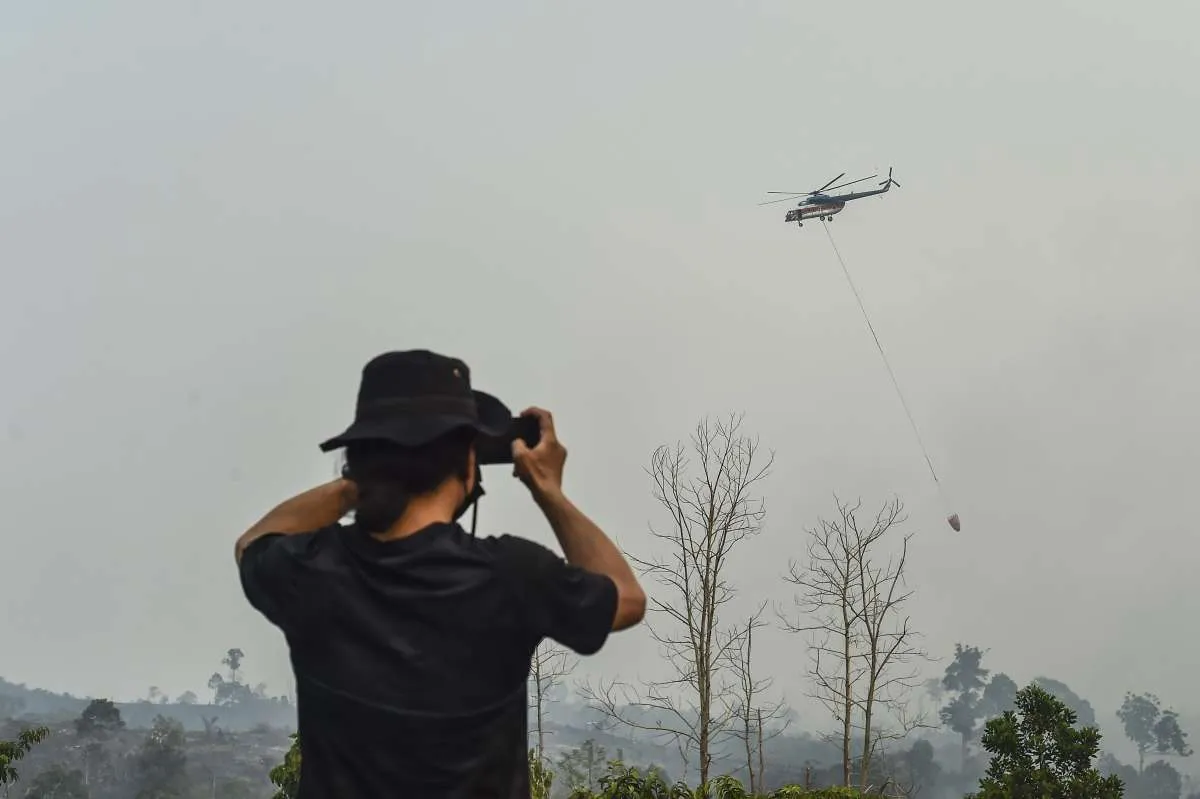 Indonesian President Calls for Stricter Sanctions Against Forest Fire Perpetrators