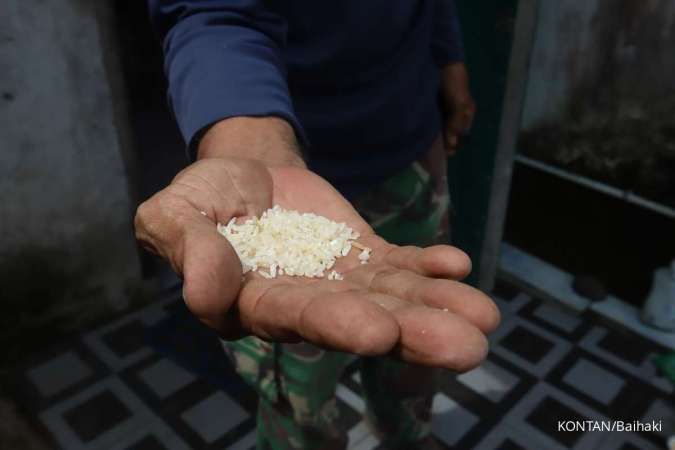 Harga Gabah di Atas Harga Eceran Tertinggi, Produksi Beras Terancam Mandek