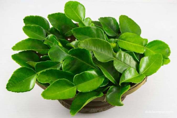 Kehabisan Stok Daun Jeruk? Coba 7 Bahan Alternatif Penggantinya