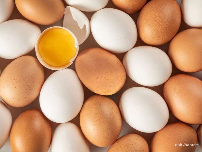 Berapa Lama Telur Ayam Bertahan di Kulkas? Ini Cara Menyimpan Telur Agar Awet