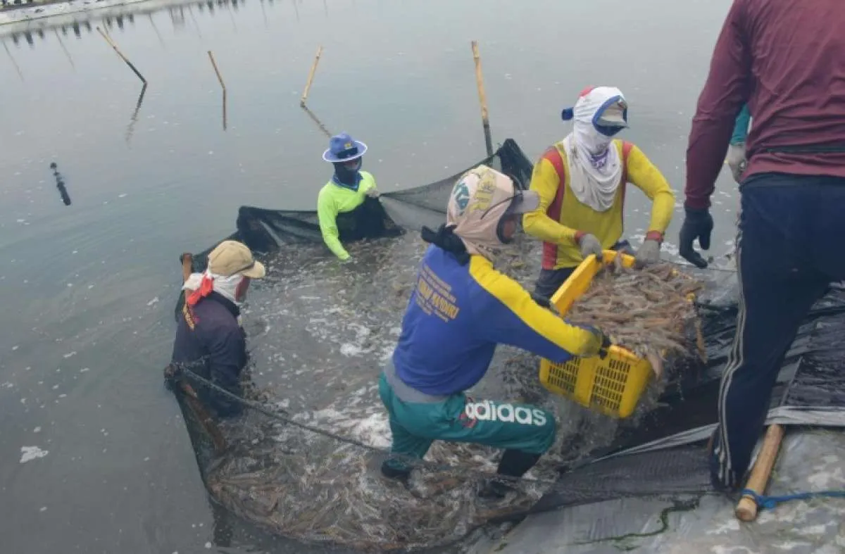 Perum Perindo bidik kenaikan penjualan dua kali lipat pada 2021