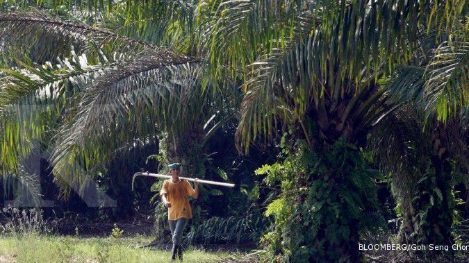 Gapki: Harga CPO Desember akan naik hingga US$ 660