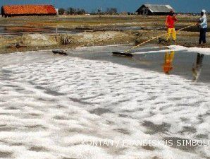 Petani ragu data KKP bahwa Indonesia sudah swasembada garam