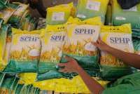 Harga Beras Medium Melesat di Banyak Wilayah