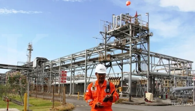 Oil and gas SOEs holding will expand PGAS
