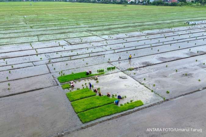 Daftar Hari Besar Setiap 2 Februari: Ada Hari Lahan Basah hingga Candlemas