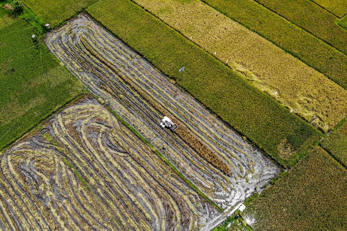 Perlambatan Ekonomi 2025: Sektor Ini Akan Bangkit Kuartal I 2026