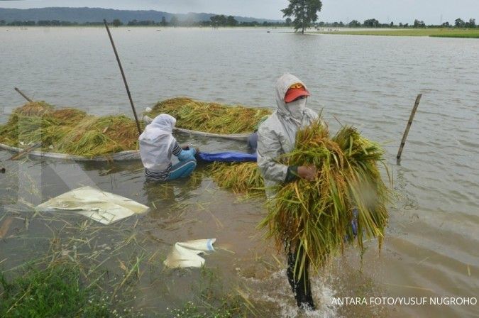 Banjir lebih dari satu meter melanda lima kecamatan di Pati, Jawa Tengah
