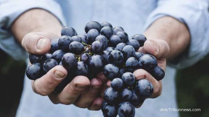 Bikin Panjang Umur! 8 Manfaat Anggur Hitam yang Kaya Antioksidan 