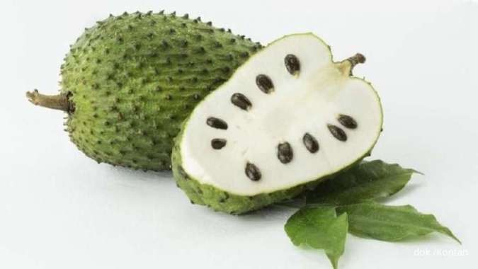  7 Manfaat Buah Sirsak bagi Kesehatan Tubuh yang Tak Banyak Orang Tahu