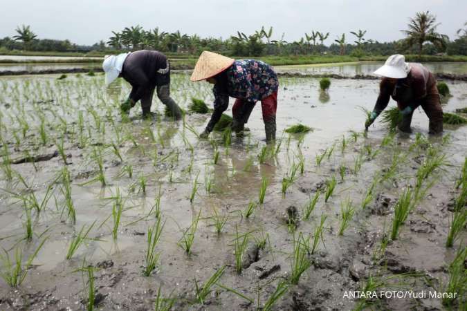 Menggugat Produksi Pangan