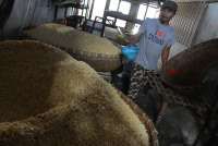 Pemerintah Patok Harga Kedelai Rp11.500/Kg, Industri Tahu Tempe Diminta Menahan Harga