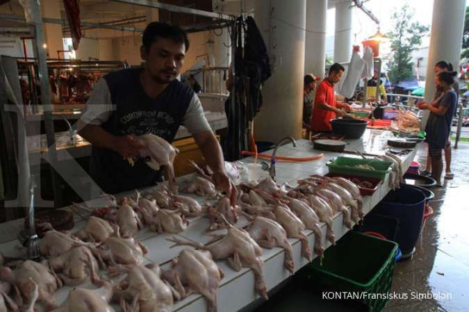 Meski harga ayam broiler naik, emiten poultry masih menghadapi tekanan