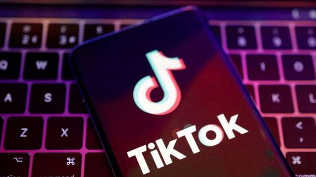 Cara Download Video TikTok Tanpa Watermark, Gunakan SnapTik