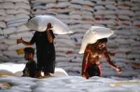 Harga Komoditas Pangan di Papua Selatan Stabil, Senin (6/1)