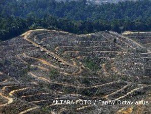 Anggaran rehabilitasi hutan Rp 3 triliun