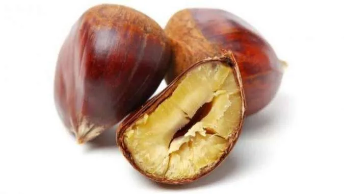 Kacang chestnut