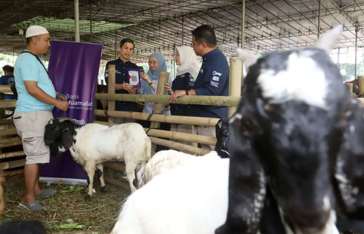 Harga Kambing dan Sapi Kurban Idul Adha 2025 untuk Wilayah Kulon Progo