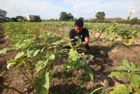 Waktu Imsak Palembang Rabu, 25 Februari 2026: Kunci Sahur Berkah Keluarga