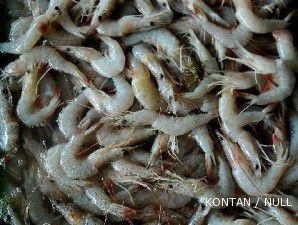 Industri pengolahan ikan dan udang bertumbangan