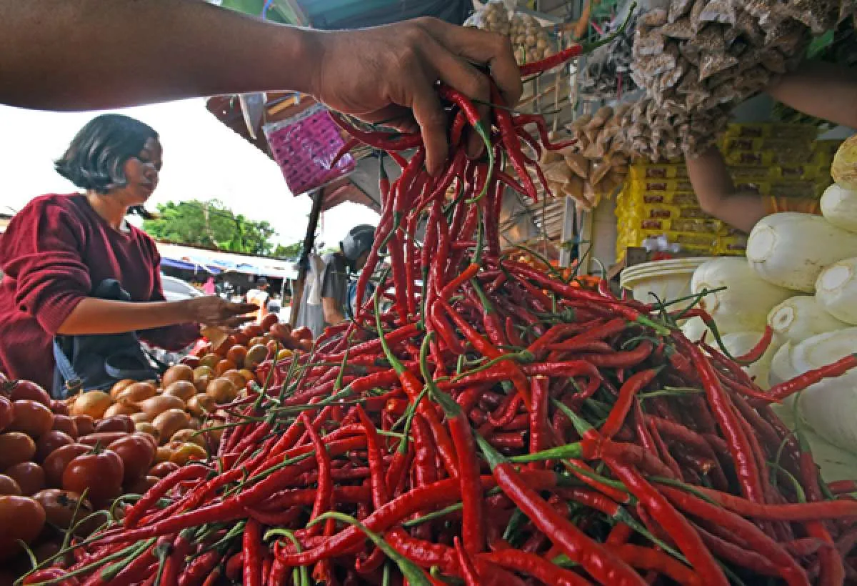 Harga Pangan di Sumatera Barat Senin (13/1): Cabai Rawit Merah dan Ikan Tongkol Naik