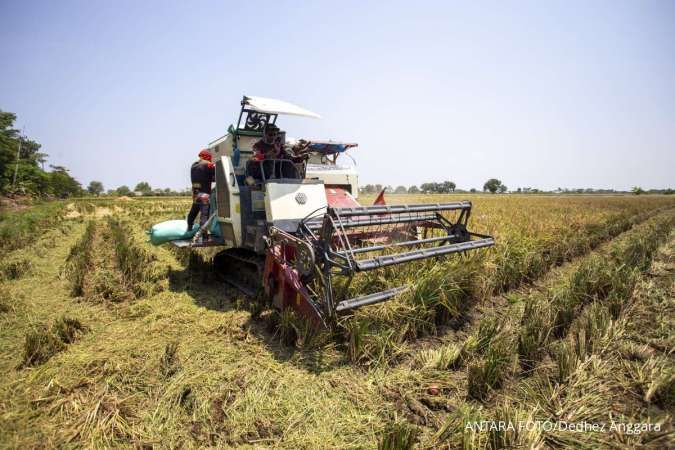 Realisasi Penyaluran Anggaran Ketahanan Pangan Capai Rp 91,1 Triliun Per Oktober 2024