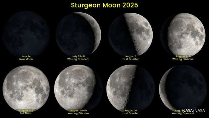 Fase Bulan