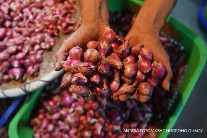 Pedagang menunjukkan bawang merah di Pasar Senen, Jakarta