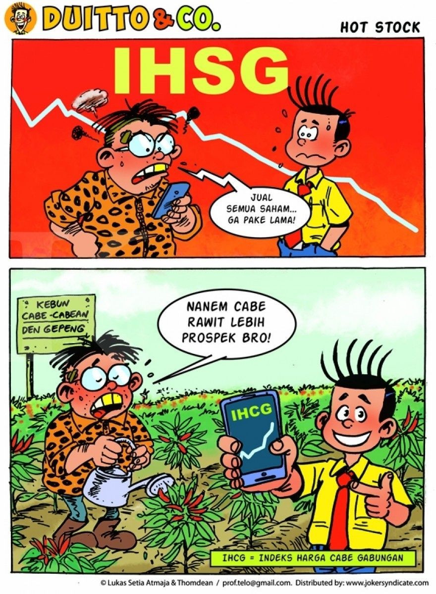 Duitto & Co - Hot Stock