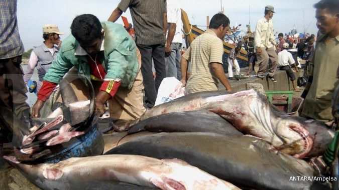 Ditjen Perikanan Budidaya KKP Kejar Target Produksi 18,77 Juta Ton Ikan