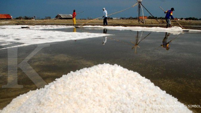 KKP minta impor garam seluruhnya dihentikan