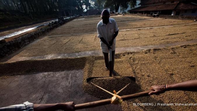 Pemerintah dukung adanya sertifikasi kopi