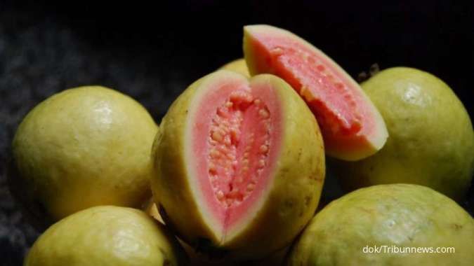 Manfaat buah jambu biji untuk kesehatan