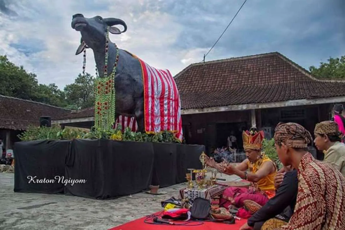 Merawat hutan dan kebhinnekaan lewat Upacara Kebo Ketan di Ngawi, Jawa Timur