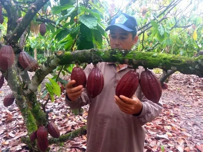 Ivory Coast to eliminate illegal cocoa output to control supply