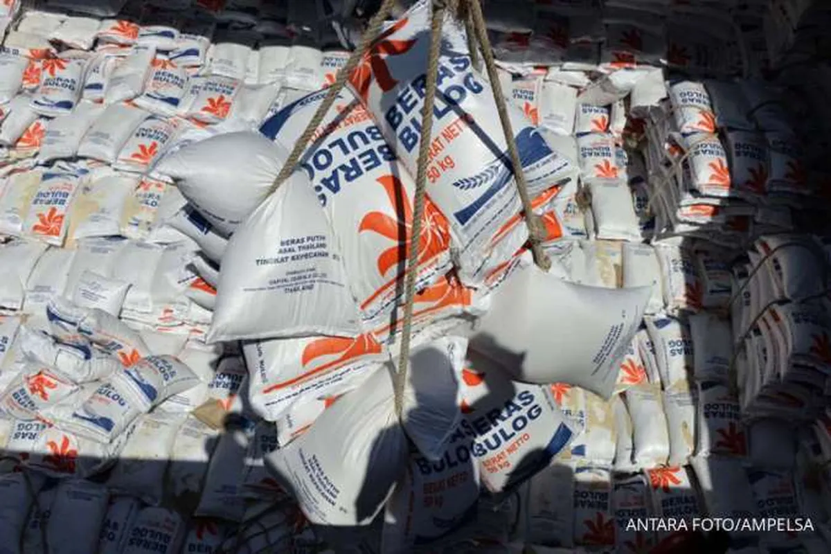 India Berencana Larang Ekspor Beras Non Basmati