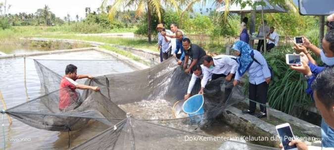 43+ Kegiatan budidaya ikan yang bertujuan untuk memperbanyak jumlah ikan adalah information