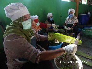 Menteri UKM ngotot usaha mikro tak kena pajak